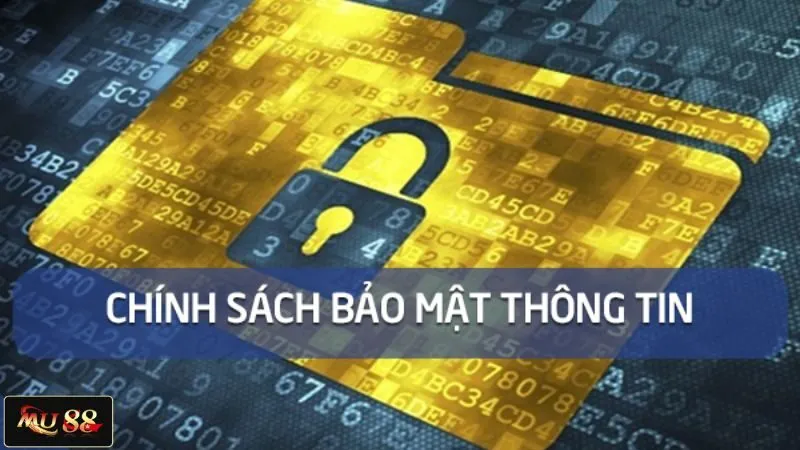 Đôi nét về chính sách bảo mật của nhà cái trực tuyến